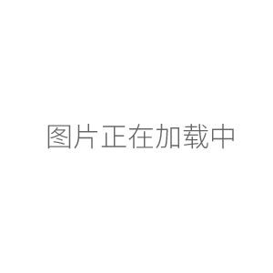 北京六一凝膠成像分析系統WD-9413A